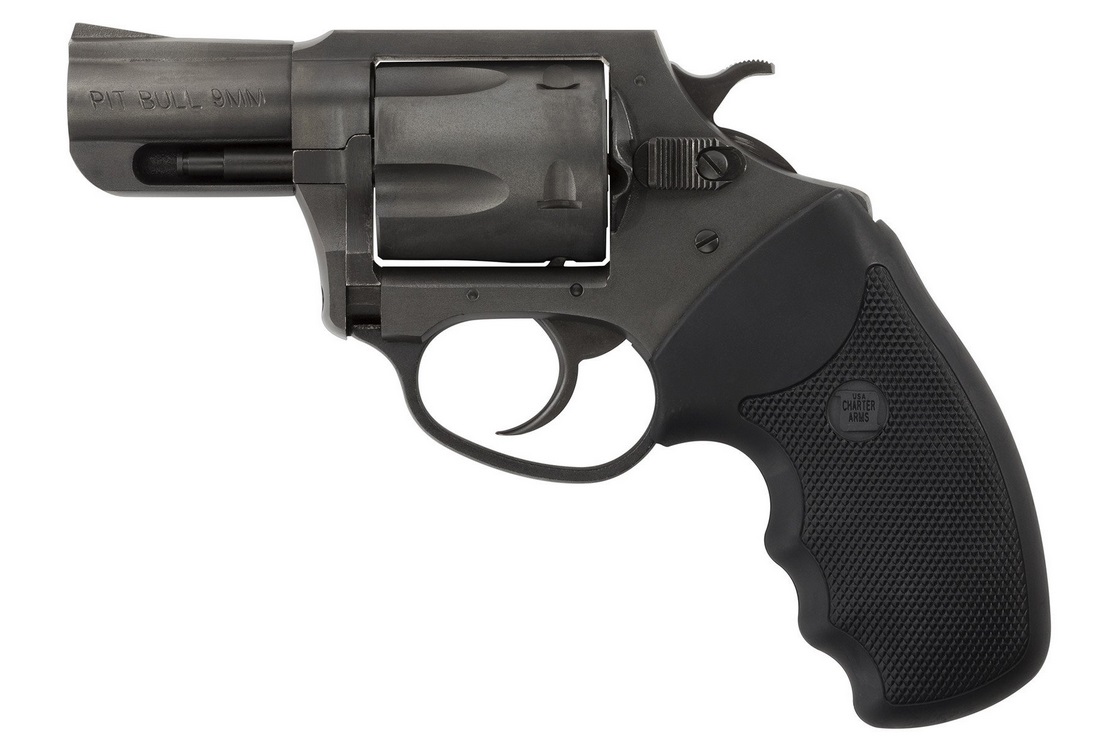 CHARTER PITBULL 9MM NIT 2″ FS