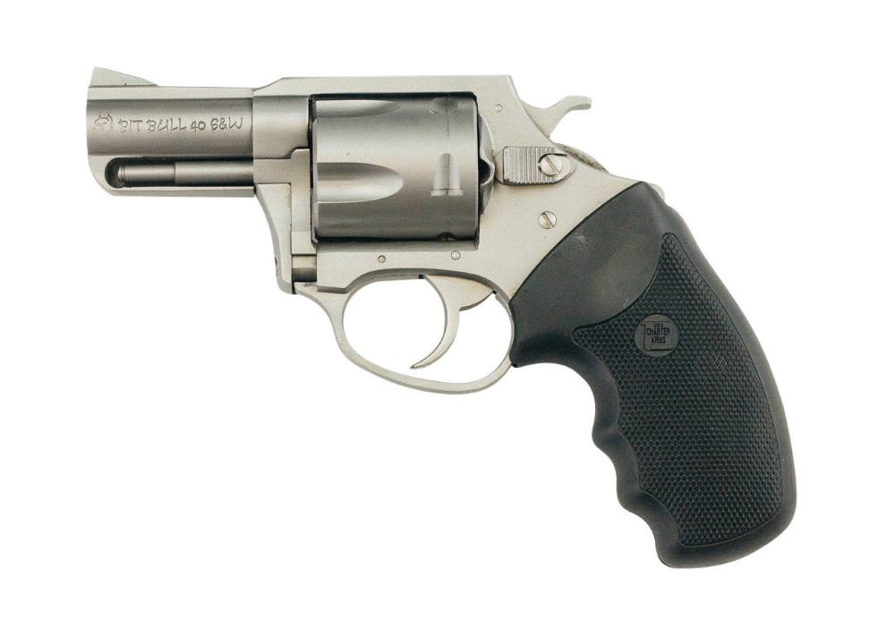 CHARTER PITBULL 40S&W SS 2.3″