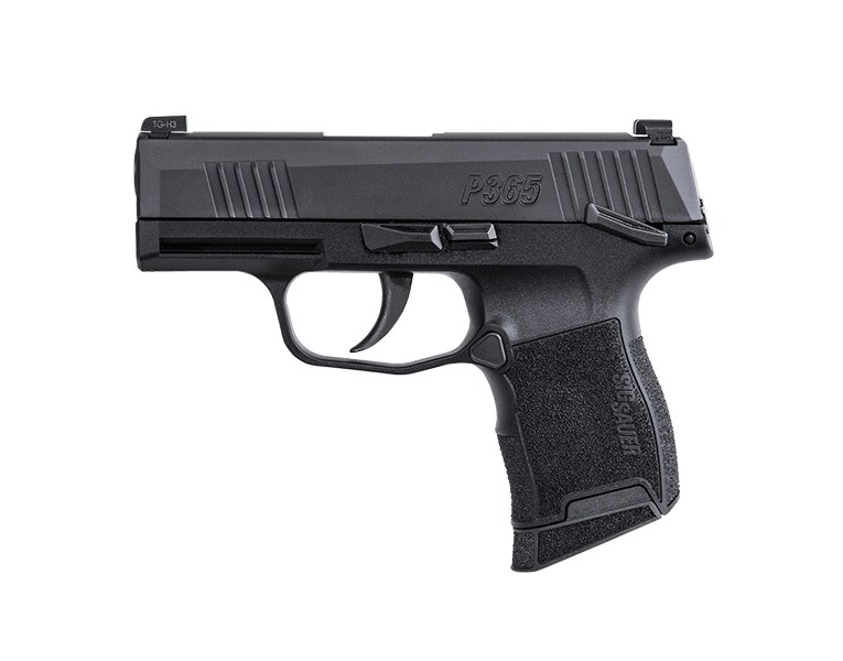 P365 380ACP BLK 10+1 NS MS MA