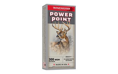 WIN SPRX PWR PNT 300WSM 180GR 20/200