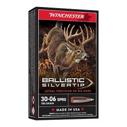 WIN BLSTC TIP 3006SP 180GR 20/200