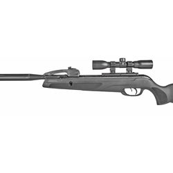 GAMO SWARM WHISPER .177 W/SCP