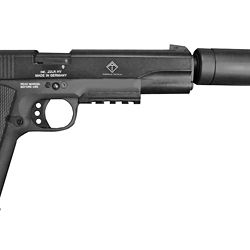 ATI GSG 1911 22LR 5″ 10RD FXSP BLK