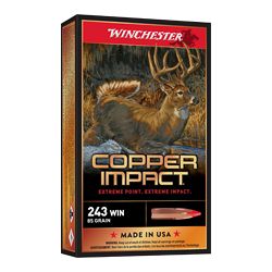 WIN DEER SEASON LF 243WIN 85GR 20/20