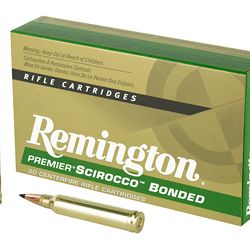 REM SWIFT SCR 300WIN 180GR 20/200