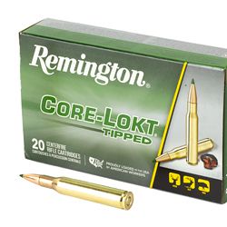 REM 270 WIN 130GR CLOK TIPPED 20/200