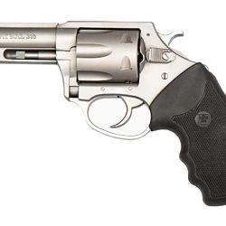 CHARTER ARMS PITBULL 380ACP 3″ STS