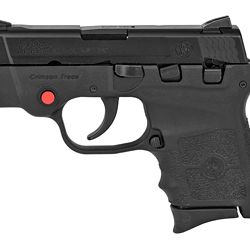 S&W BDYGRD 380ACP 6RD 2.75″ CMT BLK