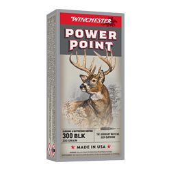 WIN PWR PNT 300BLK 200GR SS 20/200