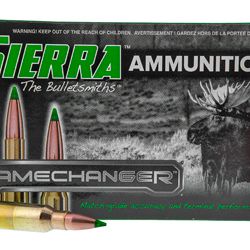 SIERRA GC 300WIN 180GR TGK 20/200