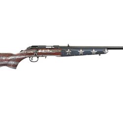 RUGER AM RIM 17 HMR 22″ 9RD RWB WD