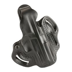 DESANTIS SCBRD SIG P229R RH BLK