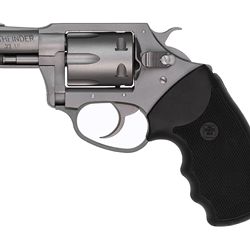 CHARTER ARMS PATHFINDER 22LR SILV 2″