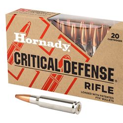 HRNDY CD 308WIN 155GR FTX 20/200