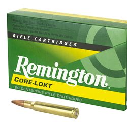REM 3006 180GR PSP CL 20/200