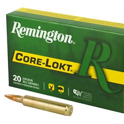 REM 300RUM 180GR CL 20/200
