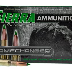 SIERRA GC 30-06 165GR TGK 20/200