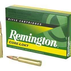 REM 3006 165GR PSP CL 20/200