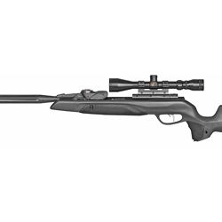 GAMO SWARM MAXXIM G2 .22 W/SCP
