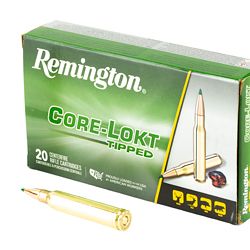 REM 300 WIN MAG 180GR CL TIP 20/200