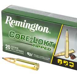 REM 308 WIN 150GR CLOK TIPPED 20/200