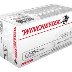 WIN USA 22-250 REM 45GR JHP 40/400