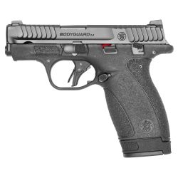 S&W BDYGRD 2.0 380ACP 2.75″ 12RD TS