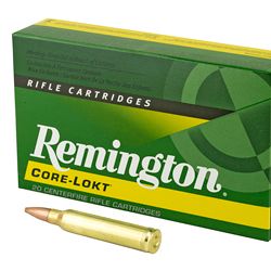 REM 300WIN 180GR PSP CL 20/200